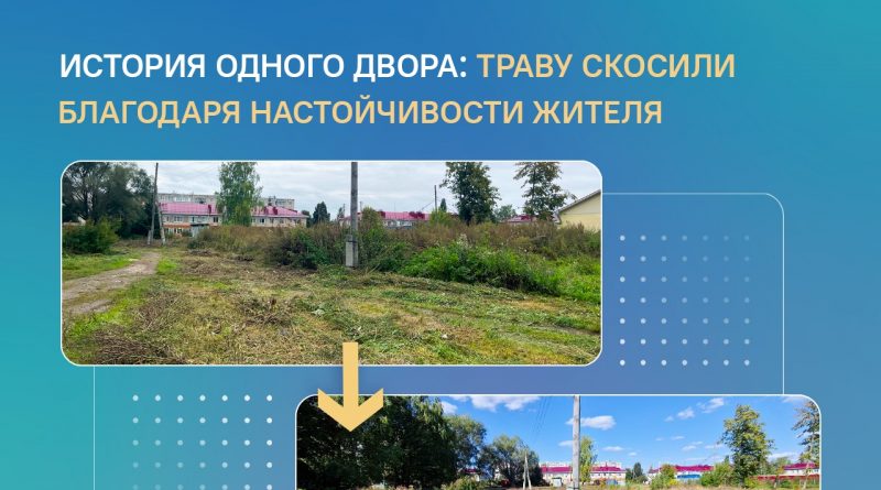 Траву скосили благодаря ностойчивости жителя