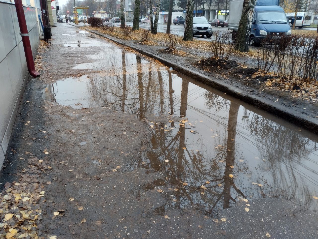 Богатый лужами центр 2