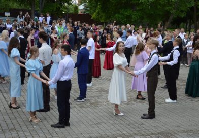 Черновик 4428