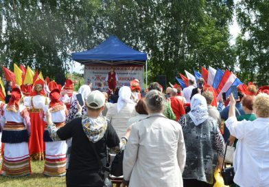 Черновик 4563