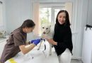 Первая современная ветеринарная клиника блочно-модульного типа открылась в Чувашии 1